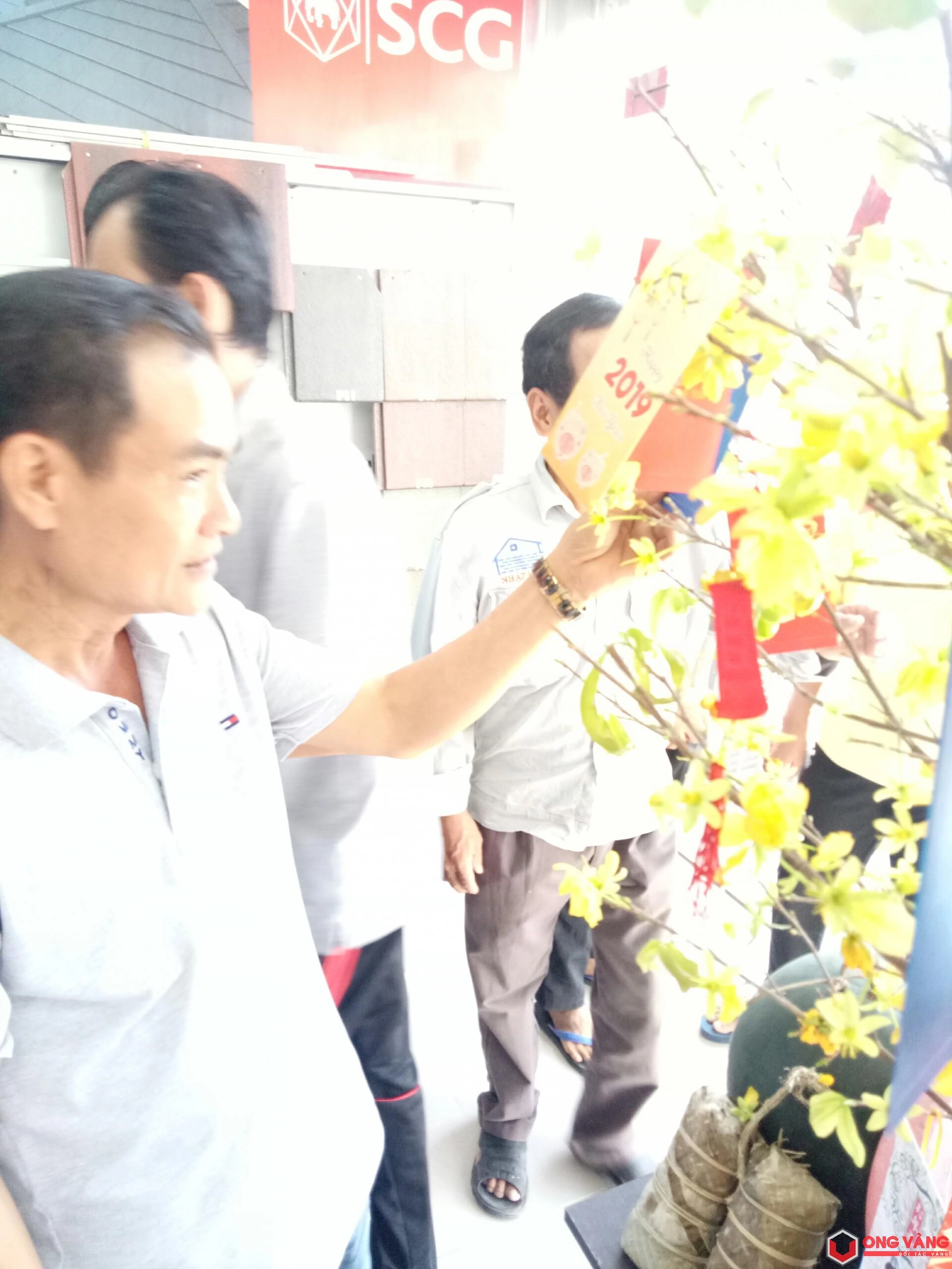 Khai Xuân Kỷ Hợi 2019 - Thuận Lợi Cả Năm Ong Vàng 