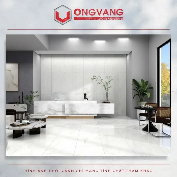 Ưu Điểm Và Nhược Điểm Của Gạch Ốp Tường 60x120cm