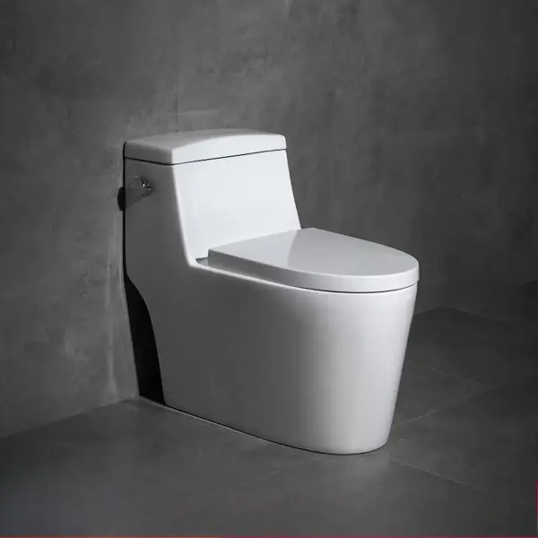 Bồn Cầu 1 Khối Là Gì? Ưu Và Nhược Điểm Mà Bạn Cần Biết
