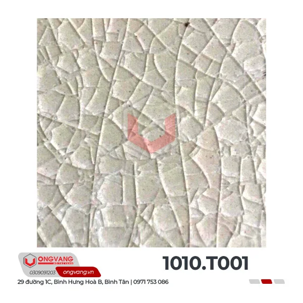 1010t001