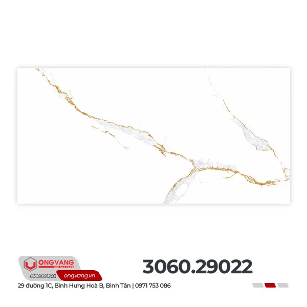 306029022f1