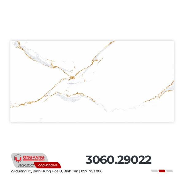 306029022f2