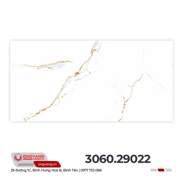 306029022f3