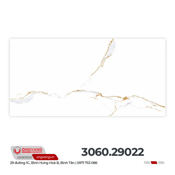 306029022f5