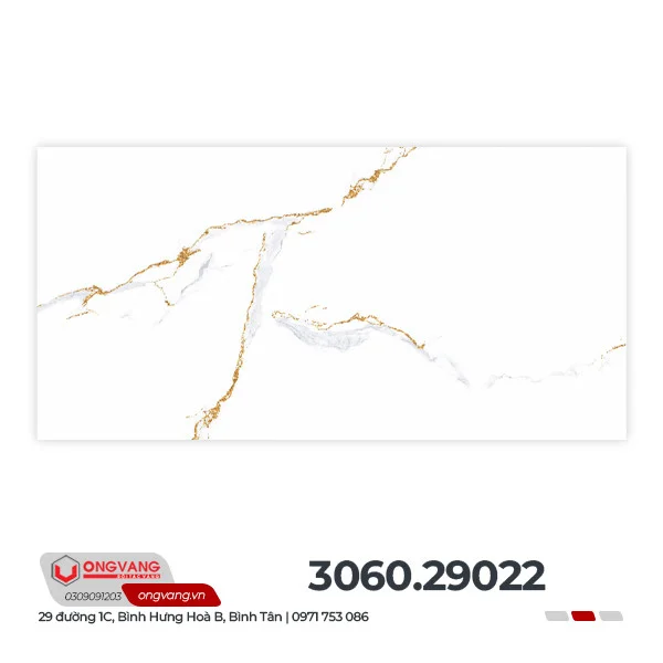 306029022f6