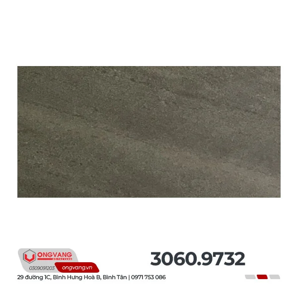 30609732-1