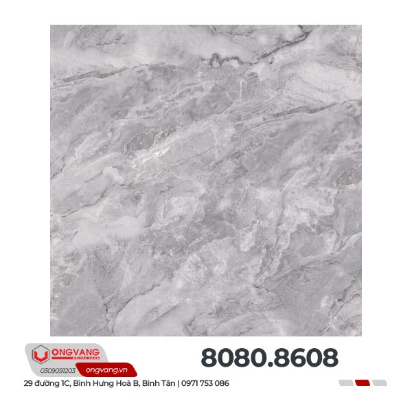 80808608