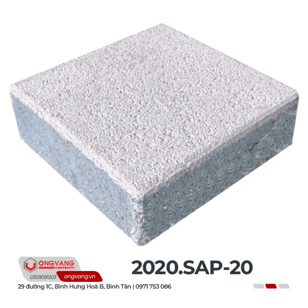 1-sap-20