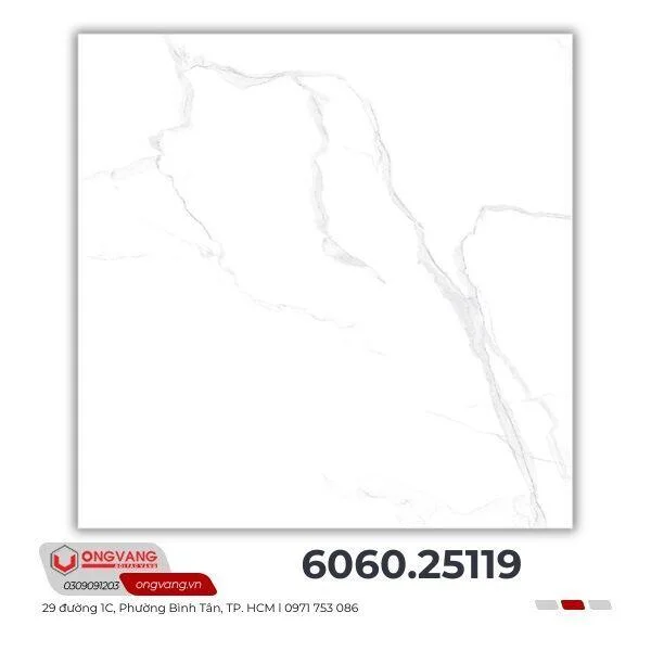 gach-lat-nen-6060-25119