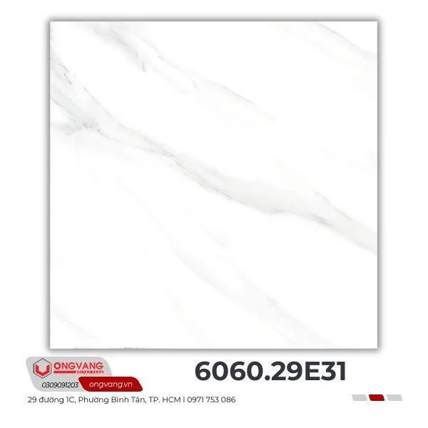 gach-lat-nen-6060-29e31-1