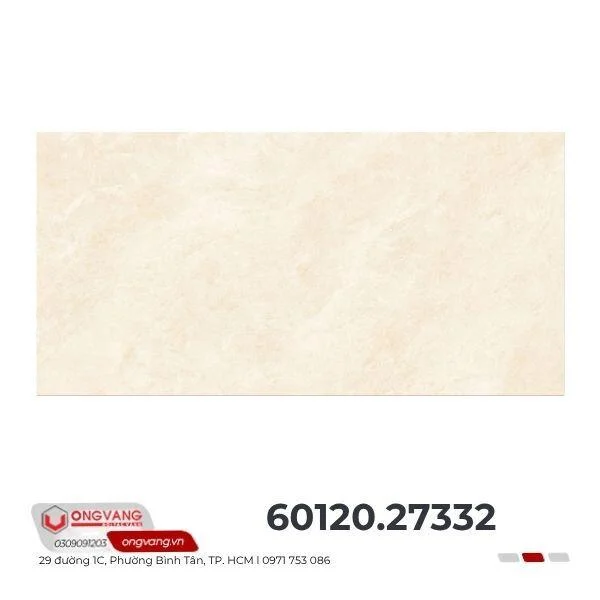 gach-lat-nen-60x120-27332