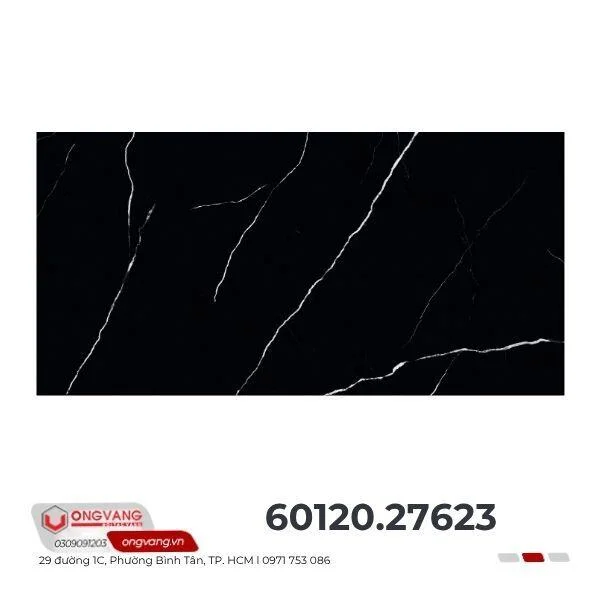 gach-lat-nen-60x120-27623-1