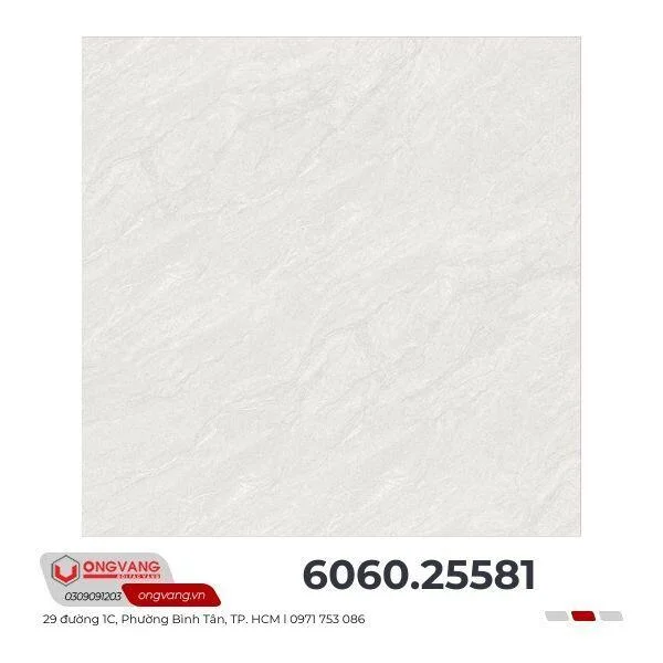 gach-lat-nen-60x60-25581-1