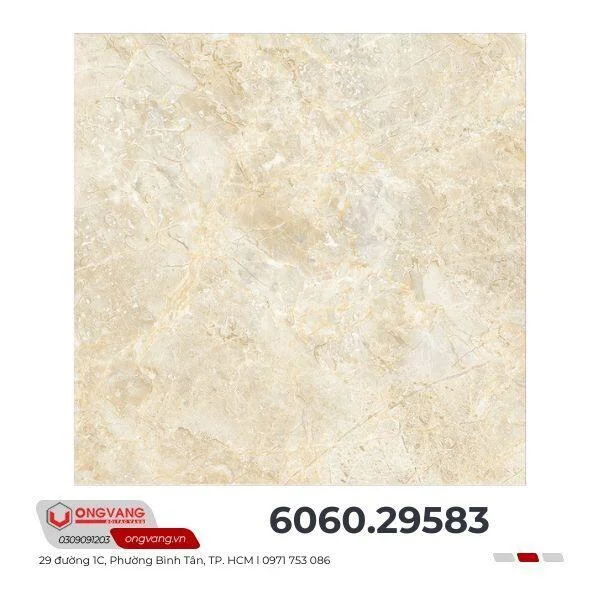 gach-lat-nen-60x60-29583-1