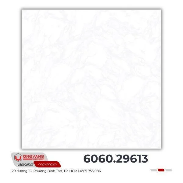 gach-lat-nen-60x60-29613-1