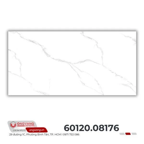gach-op-tuong-60120-08176-3-1