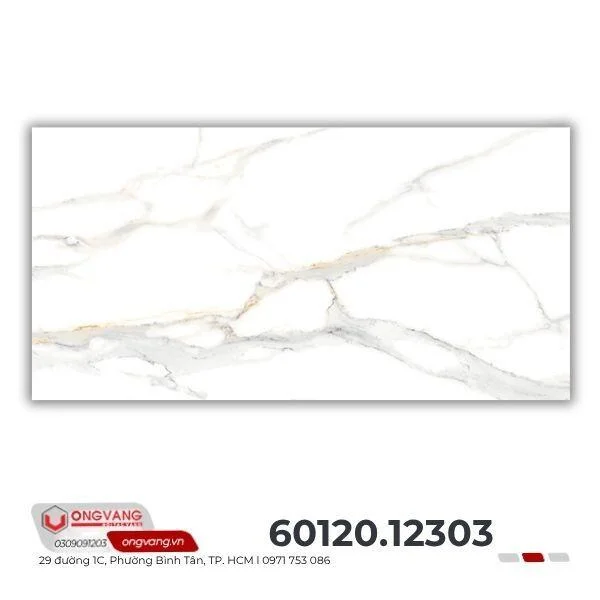 gach-op-tuong-60120-12303-3-2
