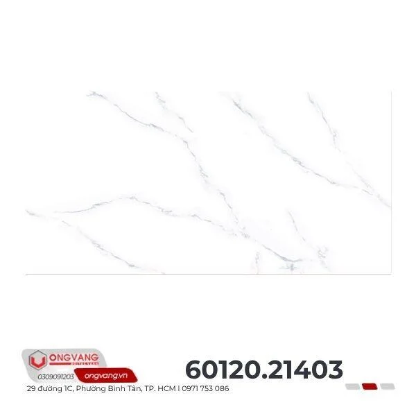 gach-op-tuong-60120-21403-4-1