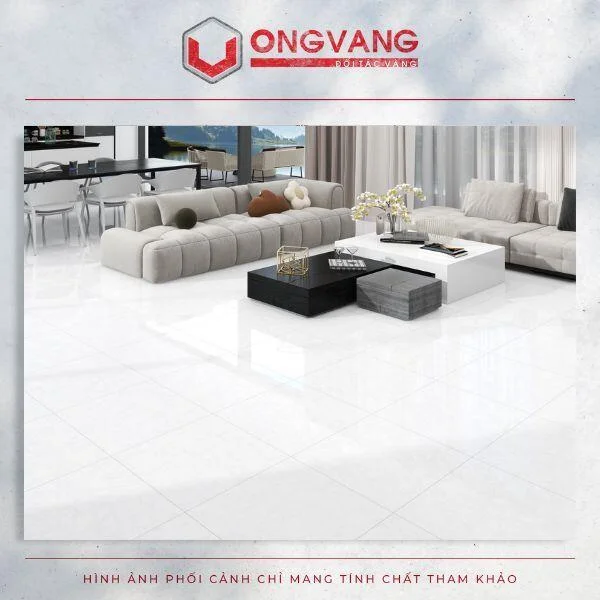 phoi-canh-gach-6060-29613