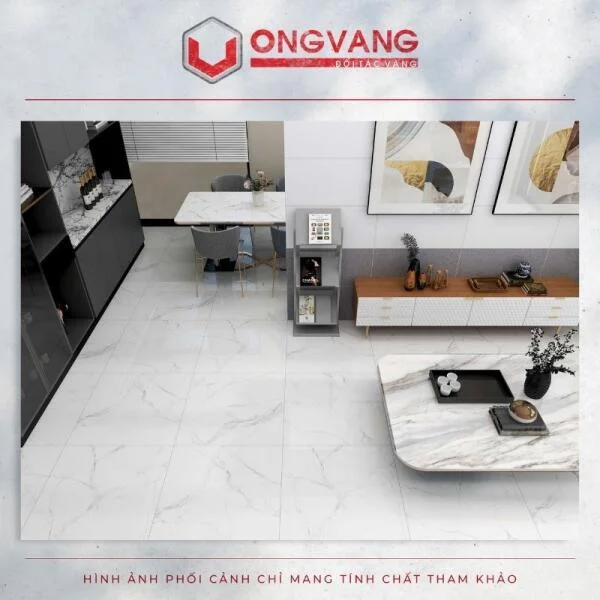 phoi-canh-gach-8080-27611