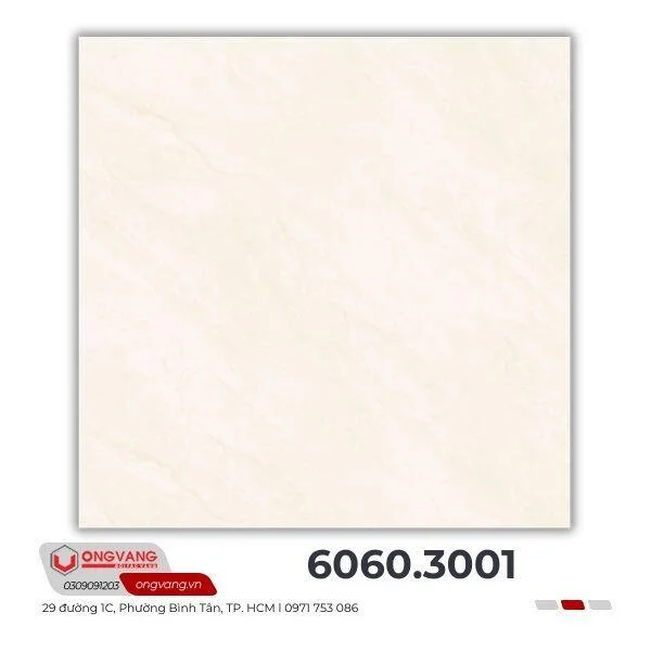 gach-lat-nen-6060-3001