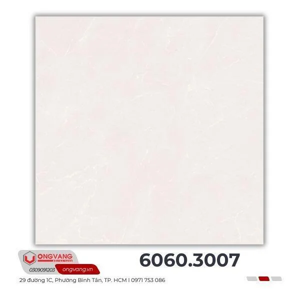 gach-lat-nen-6060-3007