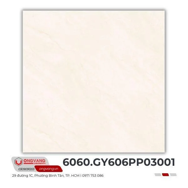 gach-lat-nen-6060-gy606pp03001