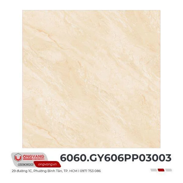 gach-lat-nen-6060-gy606pp03003-1