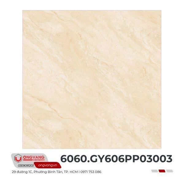 gach-lat-nen-6060-gy606pp03003