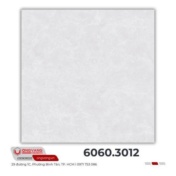 gach-lat-nen-60x60-3012