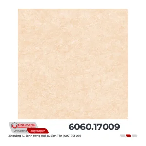 Gạch lát nền Prime 6060 17009 606017009