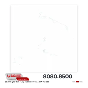 80808500