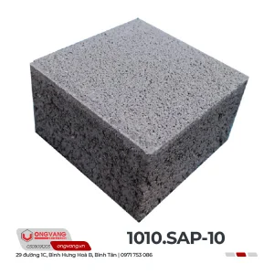 1-sap-10