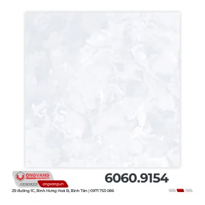 6060-9154