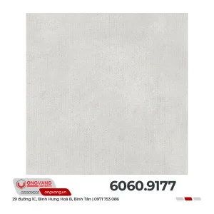 6060-9177