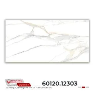 gach-op-tuong-60120-12303-2-3