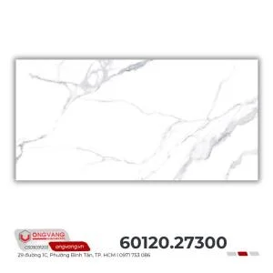 gach-op-tuong-600120-27300-2
