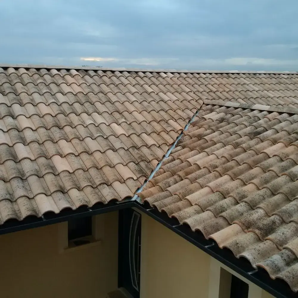 Ngói địa trung hải 