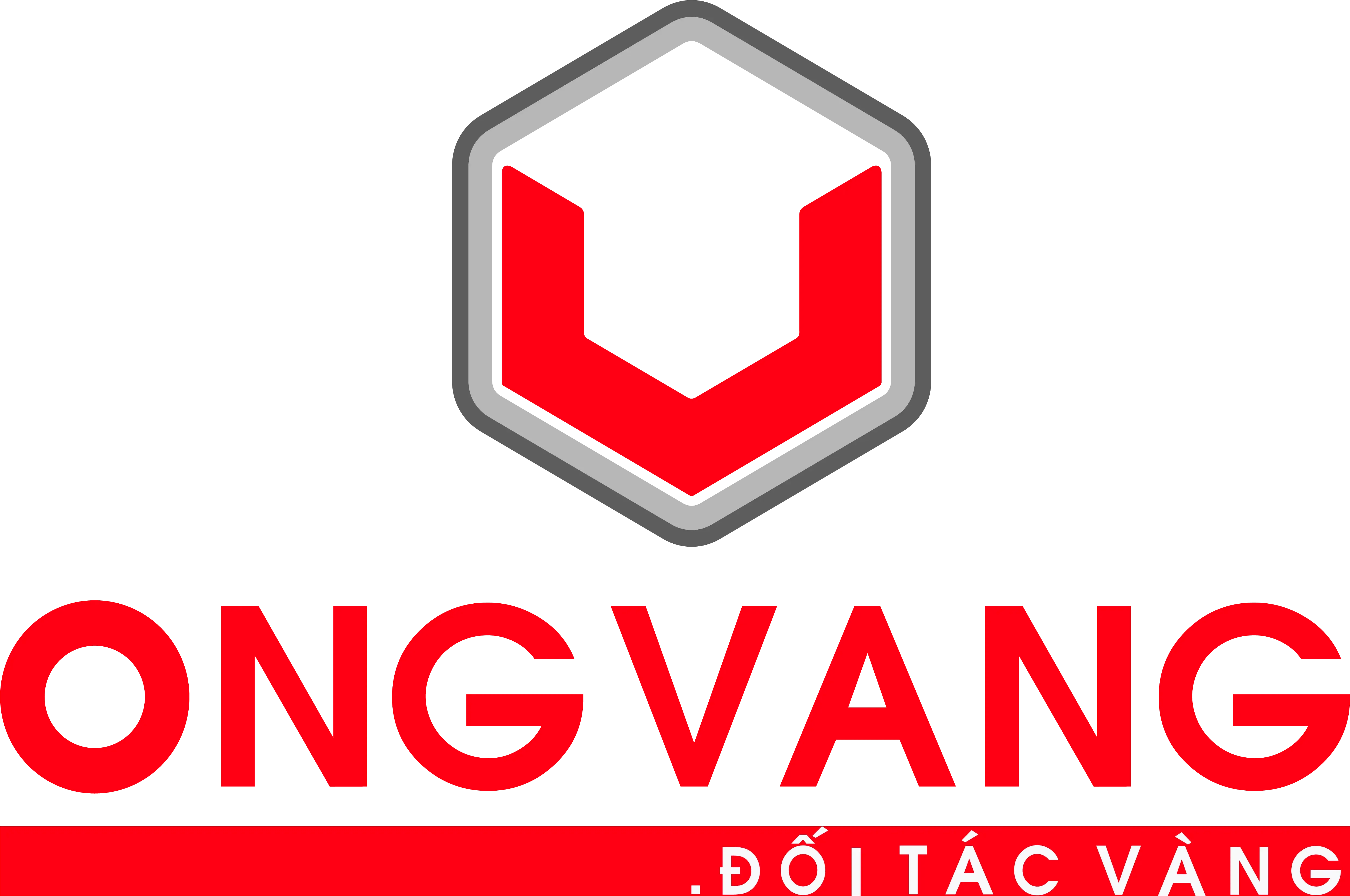 logo footer